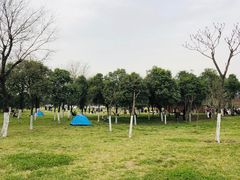 -洨河生态公园