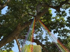 -福建鲤鱼洲酒店