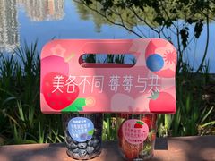 -晓港公园