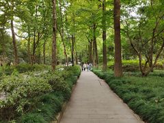-杭州植物园