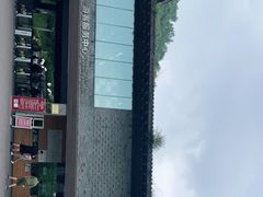 -都江堰中华大熊猫苑