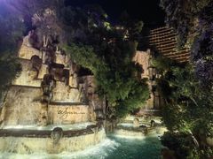 -拉斯维加斯永利酒店