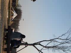 -苏州太湖国家湿地公园