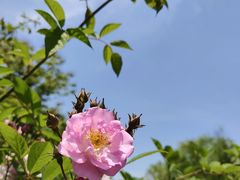 -尚贤河湿地