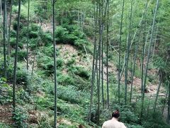 -仙霞关景区