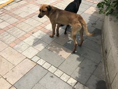 -天津津利华酒店