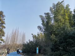 -宜兴龙背山森林公园