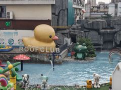 -水善汇旗舰店(金牛路店)