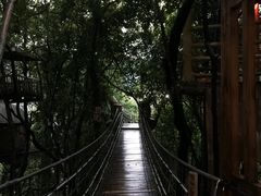 -天门沟九州驿站树上汤泉