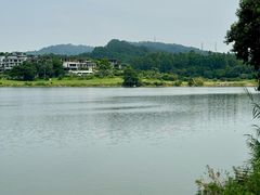 -白云湖畔酒店-湖畔餐厅