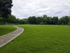 -合肥滨湖国家森林公园