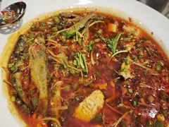 -院8里·少城记忆老川菜(宽窄巷子店)