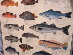 -镹·鱼料理  国产鱼使用店