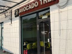 -油梨树AVOCADO TREE(顺义新国展店)