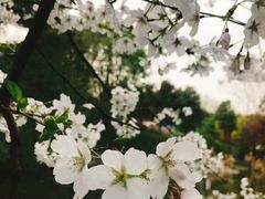 -赭山公园