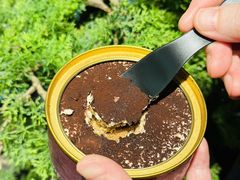 -花花卷卷·鲜食蛋糕(静安久光百货店)