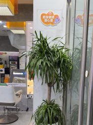 -古川造型