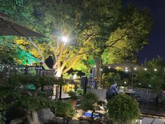 -蘇河湾·新鲁菜·泰山宴(泰山店)