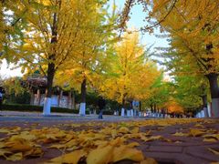 -辽东学院(南校区)