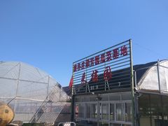 -庞各庄翠芳园西瓜蔬菜基地采摘园