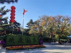 -团结湖公园