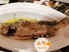 小黄鱼-希尔顿逸林酒店·中餐厅