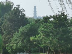 -北坞公园