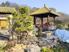 -无锡梅园公园