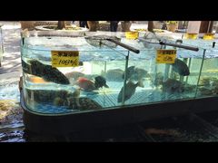 -大门水乡·顺德菜