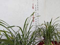 -南山植物园