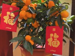 -金河半岛园林酒家(金融城店)