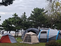 -日照灯塔风景区