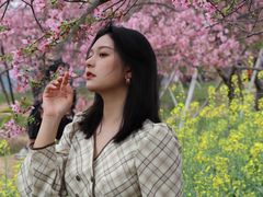 -天适樱花悠乐园