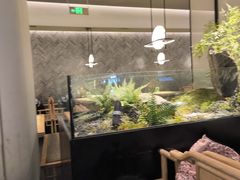 -洛阳市隋唐城遗址植物园