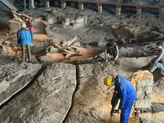 -自贡恐龙博物馆