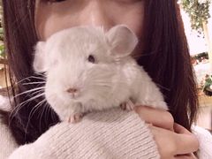 -藦茜花园宠物主题亲子互动体验馆(国顺东路店)