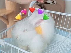 -怪兽屋·羊驼·猫咖·狗咖(俊华广场店)