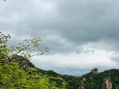 -大岭沟猕猴桃谷风景区
