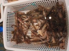 -一方渔歌蒸汽海鲜自助(文化路万达广场店)