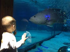 -成都浩海立方海洋公园