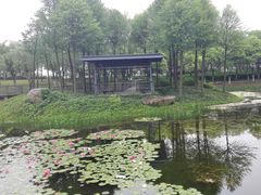 -尚贤河湿地