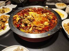 -美蛙四季(黄寺大街店)