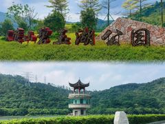 -水濂山森林公园