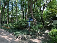 -上海醉白池公园