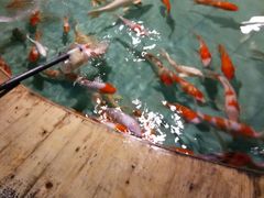 -洛阳龙门海洋馆