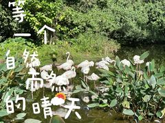 -广州动物园