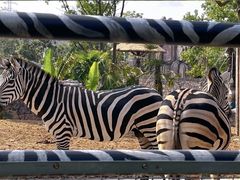 -南京汤山紫清湖生态旅游温泉度假区