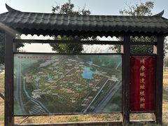 -洛阳市隋唐城遗址植物园