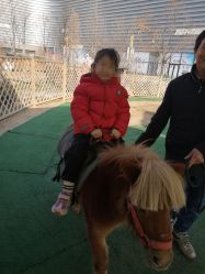 -萌宠亲子动物乐园(槐房万达店)