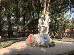 -瑞丽独树成林风景区